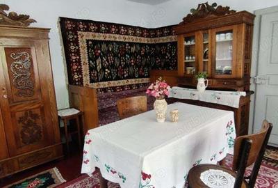 Vand casa cu teren la tara - 4