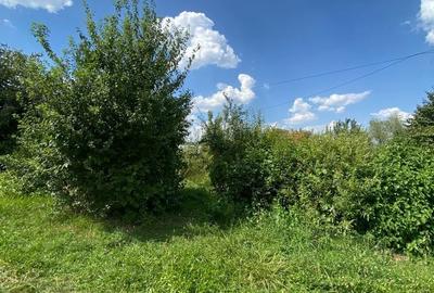 Teren de 3000 mp, în Târgu Neamț - 2