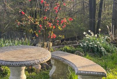 Proprietate Breaza de vis , zona de vis , prezentarea agentului , de vis Proprietate Breaza de vis , zona de vis , prezentarea agentului , de vis - 34