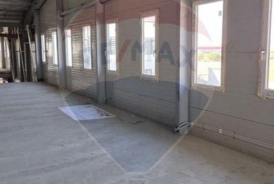 Spațiu industrial, de 2,645 mp, în Balotești - 15