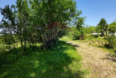 Teren de 5144 mp, în Sighișoara - 2