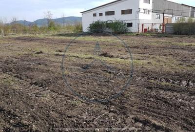 Spațiu comercial, în Șieu - 6