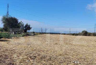 Teren Isalnita intravilan, 2500 mp, toate utilitatile - 3