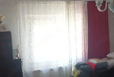 Apartament cu 2 camere semidecomandat în Brazda lui Novac - 3