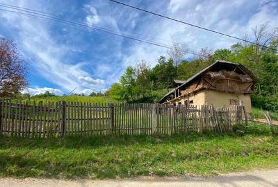 Teren de 9500 mp, în Livezi - 4