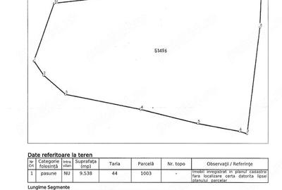 Teren de 35000 mp, în Nicula