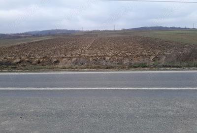Teren în Liubcova - 1
