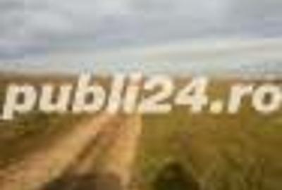 Teren de 600 mp, în Central - 2