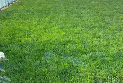 Casă cu 4 camere cu Teren 1000 Mp în Grădiștea - 2