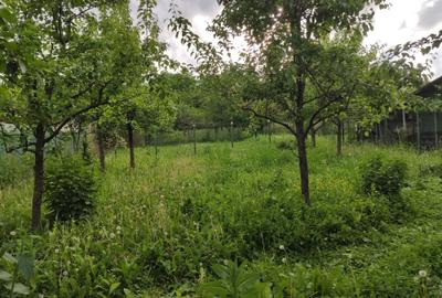 Casă cu 4 camere cu Teren 2500 Mp în Moțăieni - 3