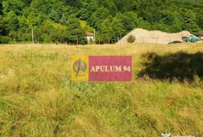Teren de 744 mp, în Brezoi - 6