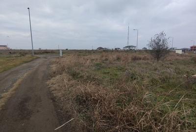 Teren Km 5 Veterani - 4