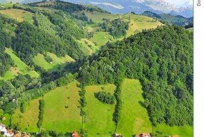 Pensiune noua, cu acces la apa curgatoare,  Bran, Moieciu, Brasov Pensiune noua, cu acces la apa curgatoare,  Bran, Moieciu, Brasov - 1