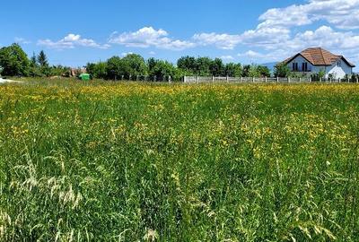 Spațiu comercial, în Podu Oltului - 3