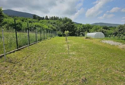 Casă cu 3 camere cu Teren 3042 Mp în Vale - 1