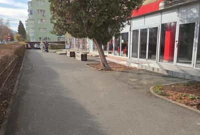 Spatiu comercial 78 mp proprietar - 1