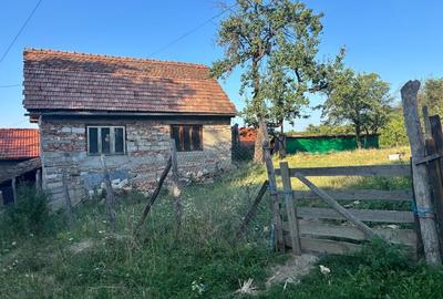 Casa veche + teren intravilan Rahau, Sebes 2387 mp Nu agenție - 3