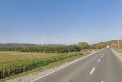 Teren de 13060 mp, în Voinești - 2
