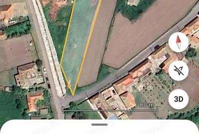 Casa Batraneasca in Comuna Stejaru, Tulcea. 2500mp, 5 camere, Urgent - 6