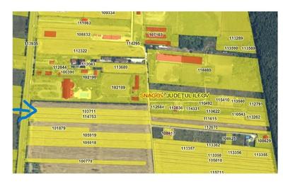 Teren Construcții intravilan de 5000 mp, în Vlădiceasca - 1