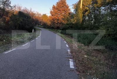 Casă cu 2 camere cu Teren 1500 Mp în Central - 15