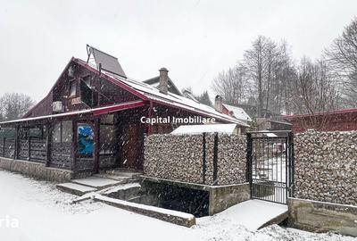 Casă cu 8 camere cu Teren 1500 Mp în Văliug - 5