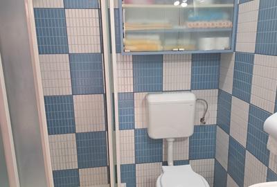 Vila compusa din P+M situata in zona Abator - 10