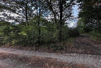 RECO, Teren intravilan, Zona Vadu Crisului, Bihor - 3