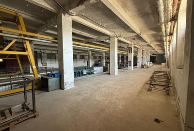 HALĂ INDUSTRIALĂ 8530 MP TEREN ȘI 3300 MP CONSTRUCȚII - 12