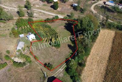Teren de 3565 mp, în Tutana - 2