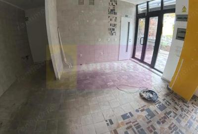 Inchiriere spatiu comercial in zona bd Decebal, stradal - 4