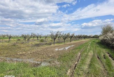 Casă cu 3 camere cu Teren 20000 Mp în Leleasca - 2