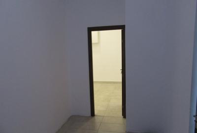 Inchiriere Spatiu Comercial Teiul Doamnei - 33