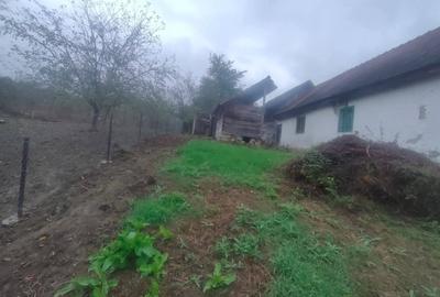 Casă individuală cu 2 camere cu Teren 1300 Mp în Dobroț - 5