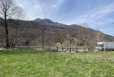Teren de 2777 mp, în Lunca - 3