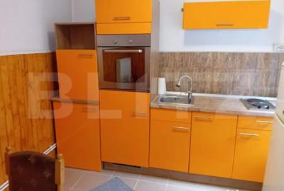 Casă cu 2 camere cu Teren 2850 Mp în Răhău - 8