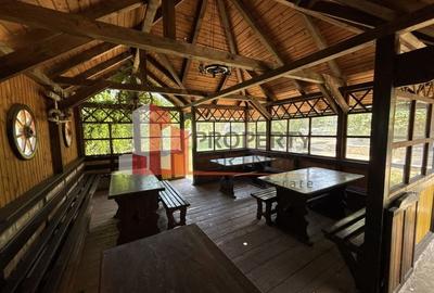 Pensiune cu vedere spectaculoasă la Bucegi și Piatra Craiului - Bradul Inalt Pensiune cu vedere spectaculoasă la Bucegi și Piatra Craiului - Bradul Inalt - 27