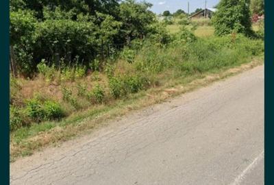 Teren de 1500 mp, în Valea Dragului