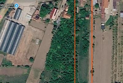 Casă cu Teren 2600 Mp în Tămășeu