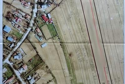 Teren de 8100 mp, în Gruiu - 1