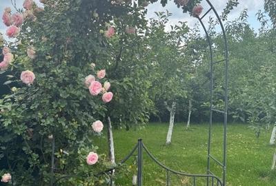 Casă individuală cu 5 camere cu Teren 750 Mp în Corbeanca - 13