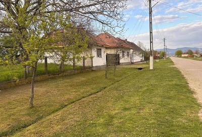 Casă cu Teren 4000 Mp în Sălbăgelu Nou - 2