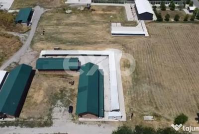 Teren în Crânguri - 11