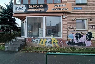 Spatiu birouri/comercial cu vitrina mare de 11 ml la B-dul Zizinului - 3