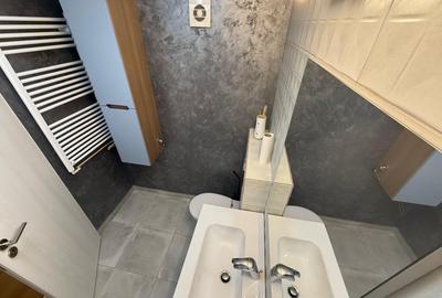 Apartament cu 2 camere semidecomandat, mobilat în Dristor - 8