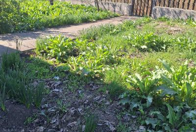 Casă cu 3 camere în Grădiștea - 7