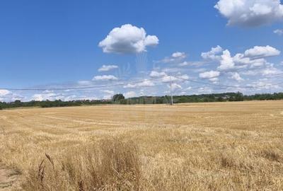 TEREN COCOSESESTI//INTRAVILAN - 1