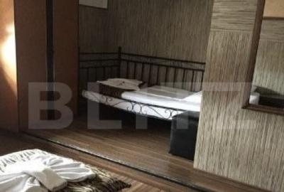 Pensiune de inchiriat, 450 mp, zona Lugojului Pensiune de inchiriat, 450 mp, zona Lugojului - 14