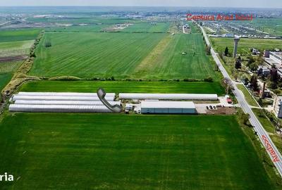 Spațiu comercial, de 10,000 mp, în Horia - 6