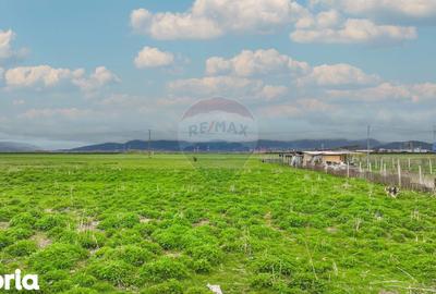 Teren de 6200 mp, în Central - 4